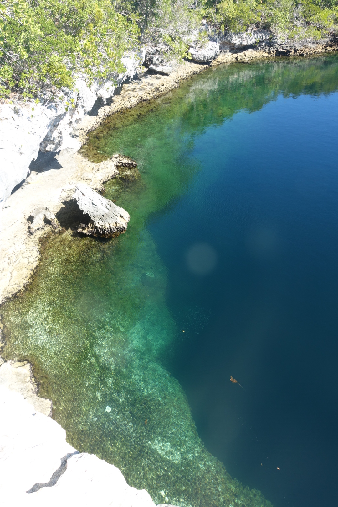 b8a8f93d-92ee-4936-9ea2-1682bc154e14