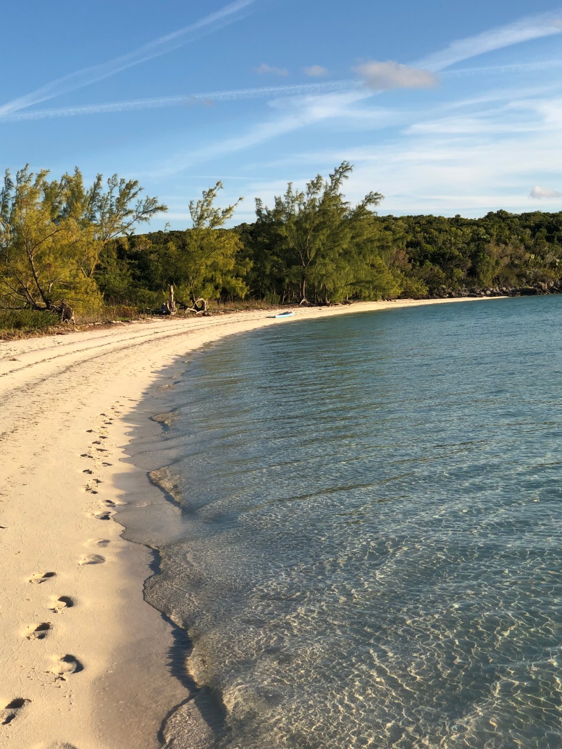 d5cc4493-ca8d-4980-a439-90412362670c