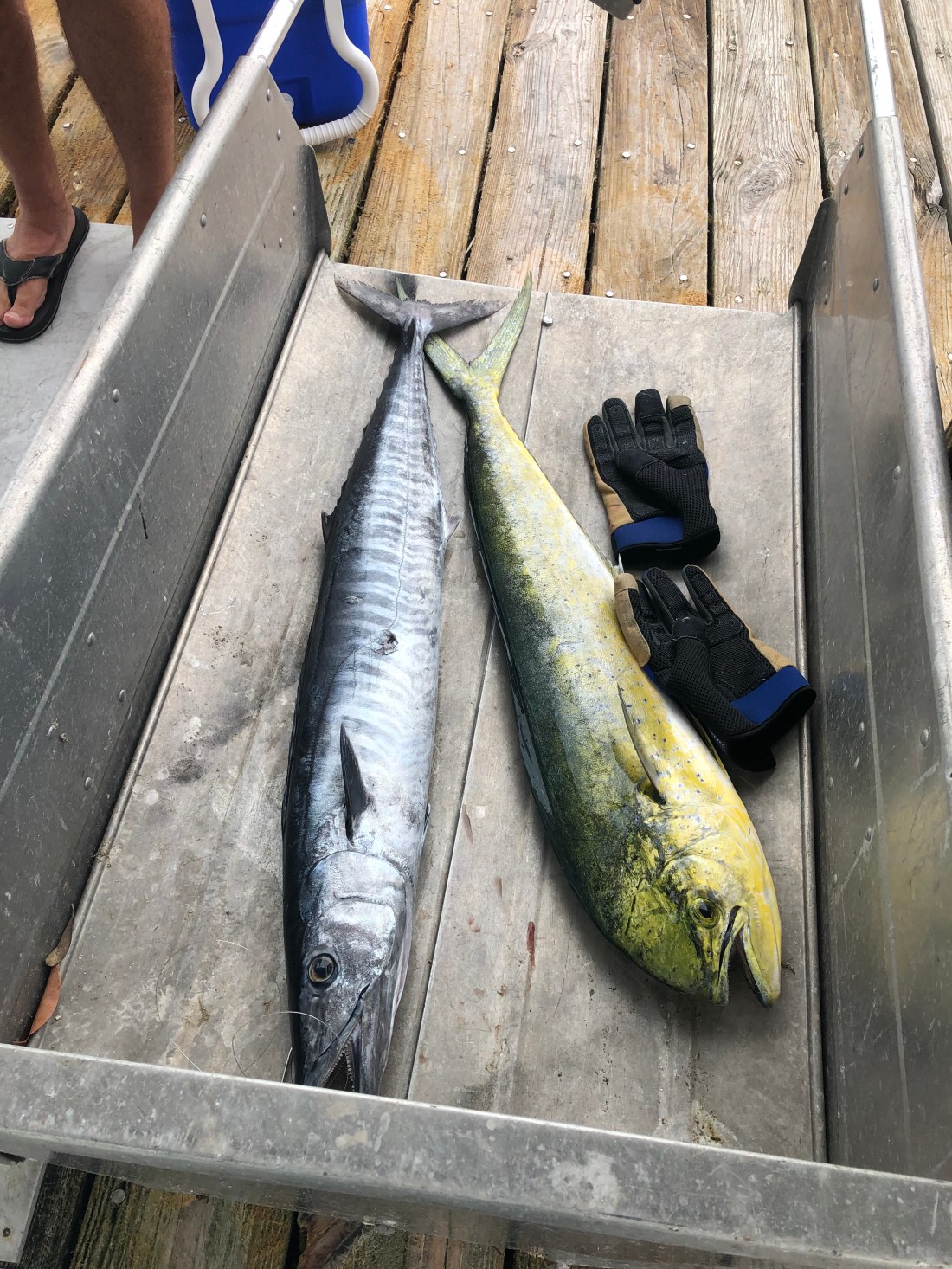 09AA3DCE-E9DF-409F-8114-9E1E387F7FFB