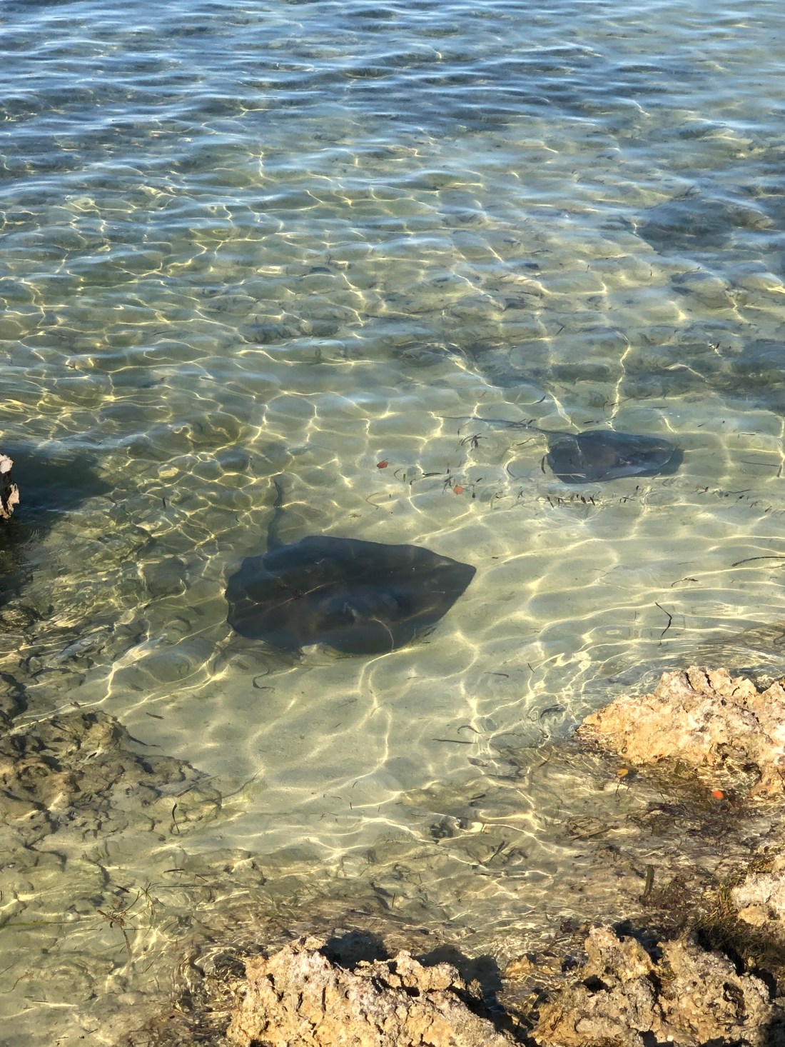 126C9340-CE26-4956-9389-9A32FE8DD4BC