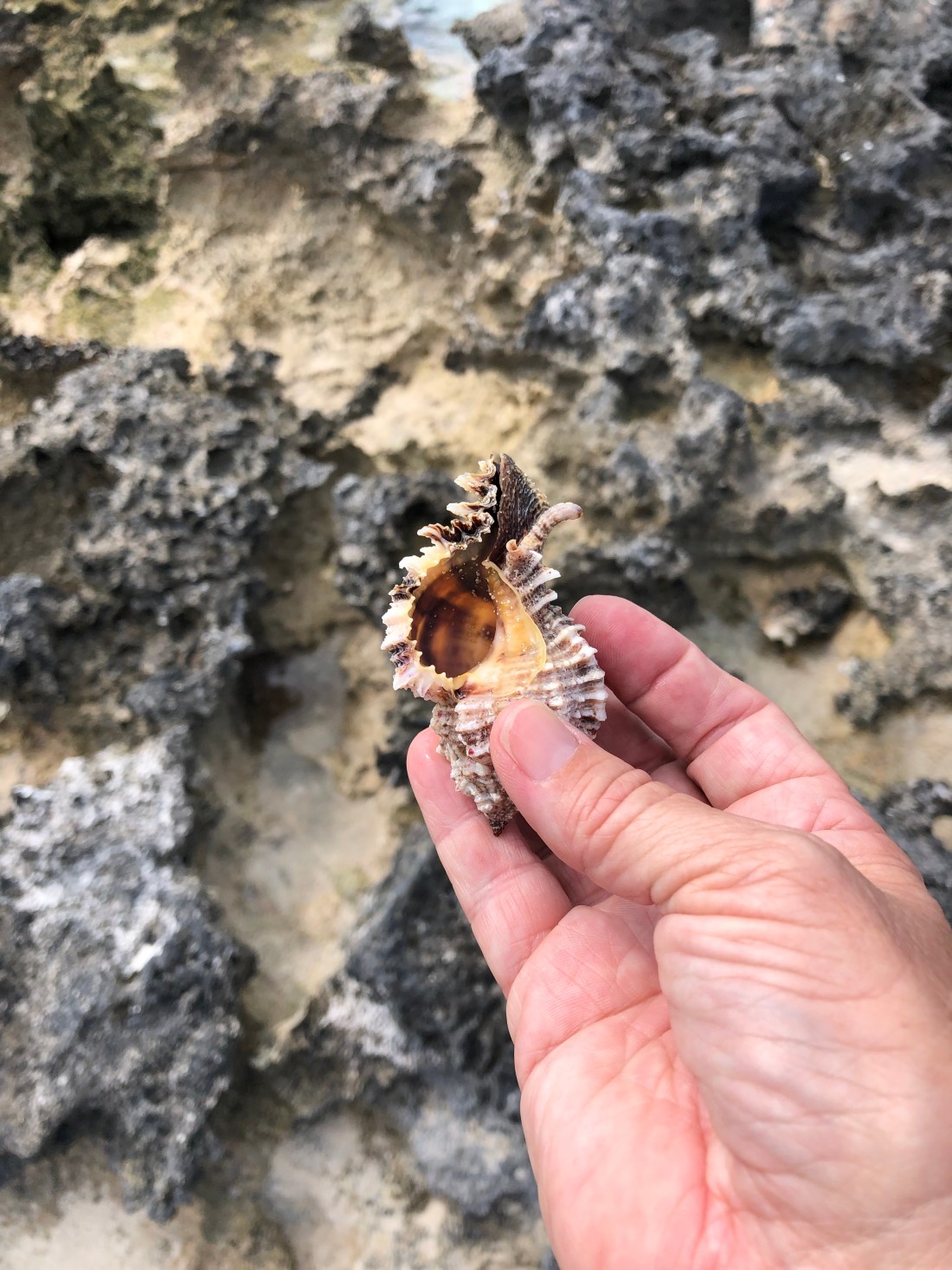 14A7708D-10A1-4C4E-8788-950CCC708D18