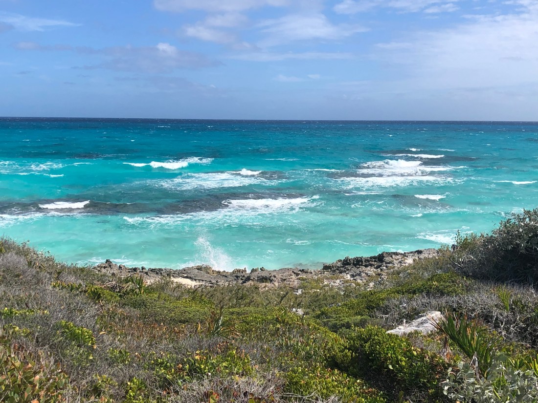 2662A71B-DCC3-400B-9E88-CA7A59030F26