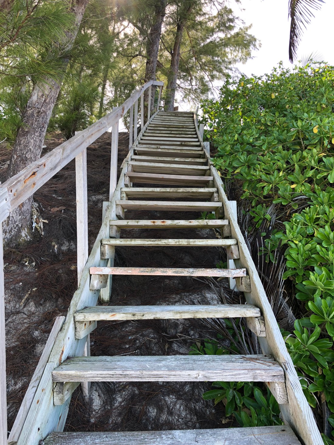 5CE987BA-463C-414F-8482-4860F260CAF3