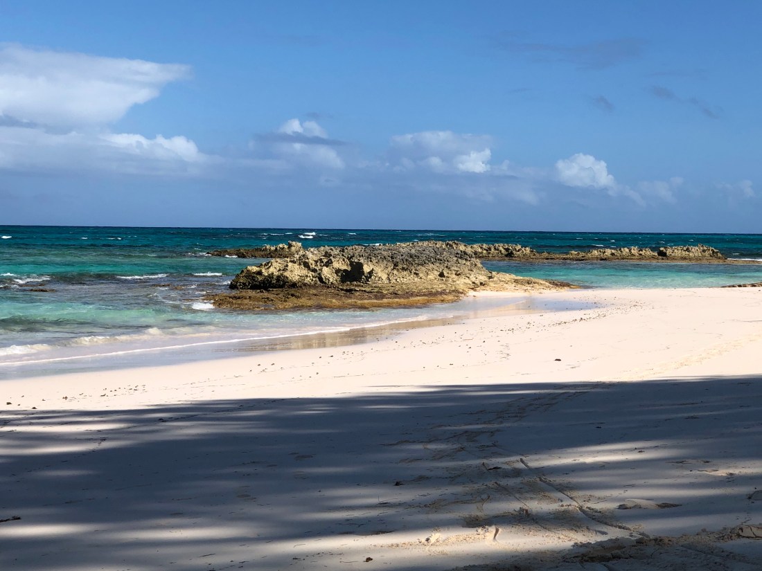 6757A8BE-F35F-488D-8D16-B5CB01D29439