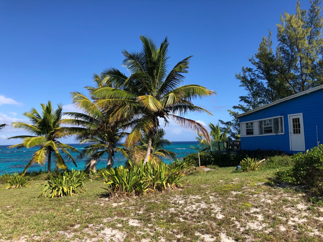 75E77F7F-FFD7-4B4E-8BCE-4A232D687B8E