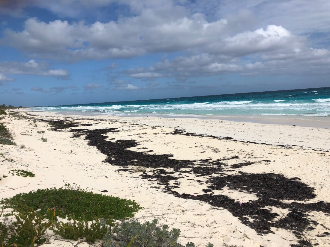 D0F84075-9BF1-4A63-972F-F11D82685191