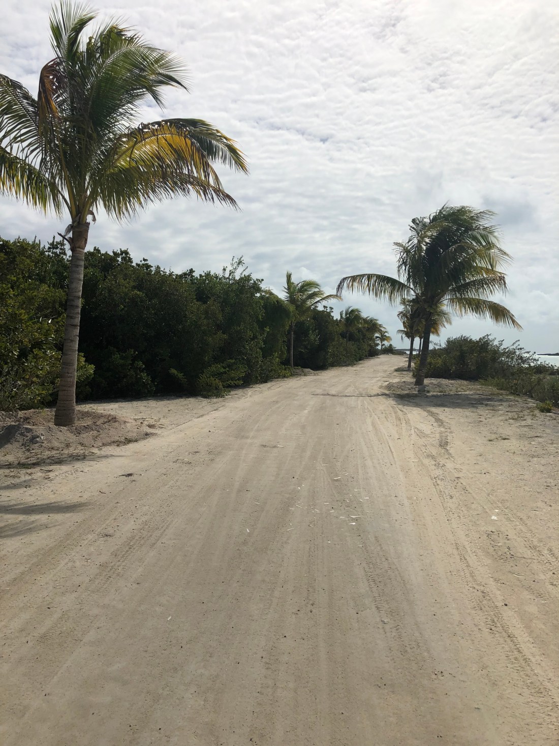 ED377AEF-C2B7-4B9E-A672-D29EC33535C7