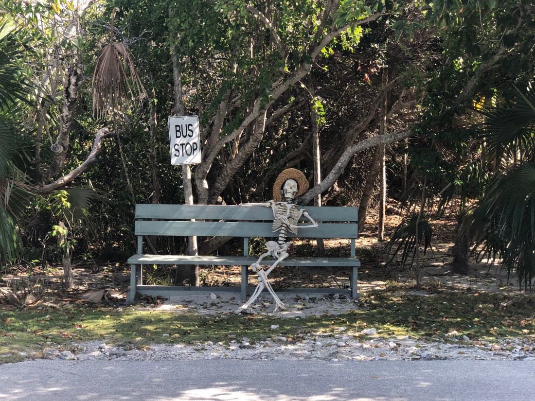 F32B5259-ED8D-4404-91BC-F52BD020A5EC