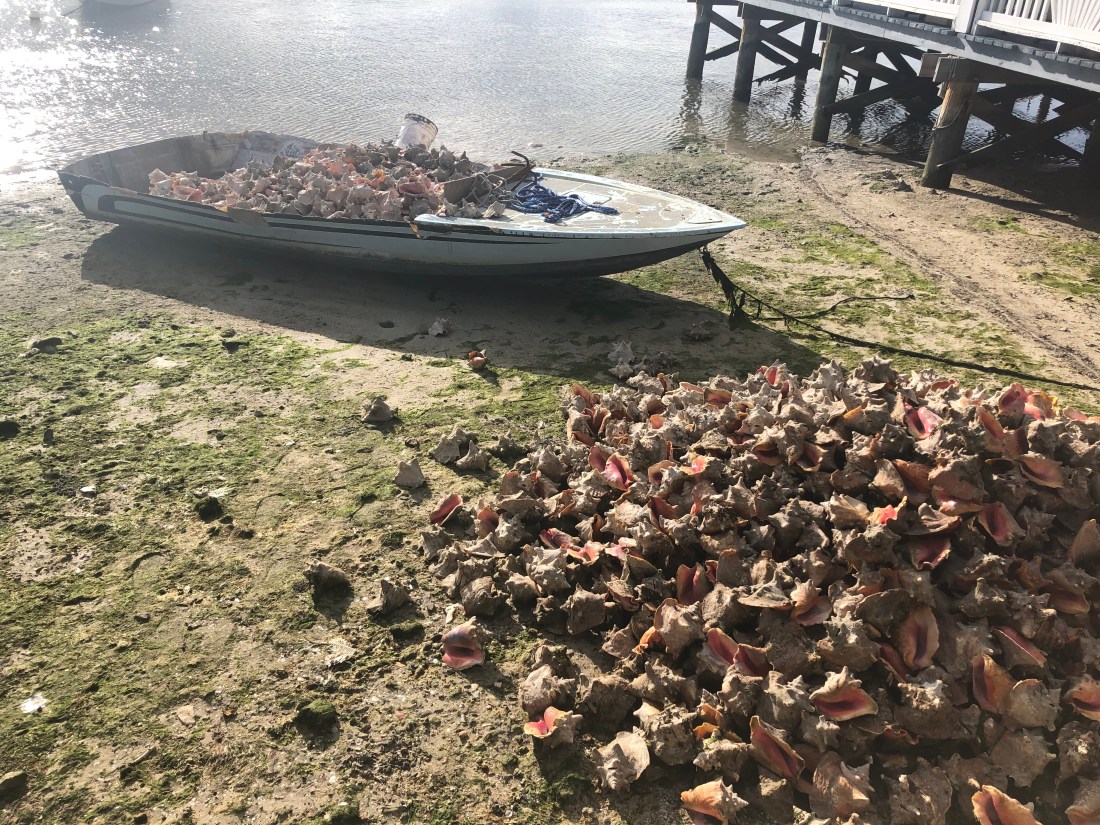 F4C8B140-E56D-4A57-A41B-03C05DB3C1BF