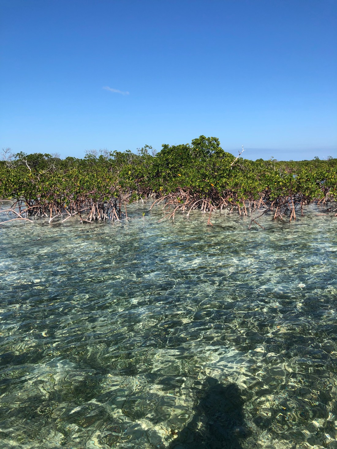 AF64D0BB-5102-4E71-8199-CD62900EC59C