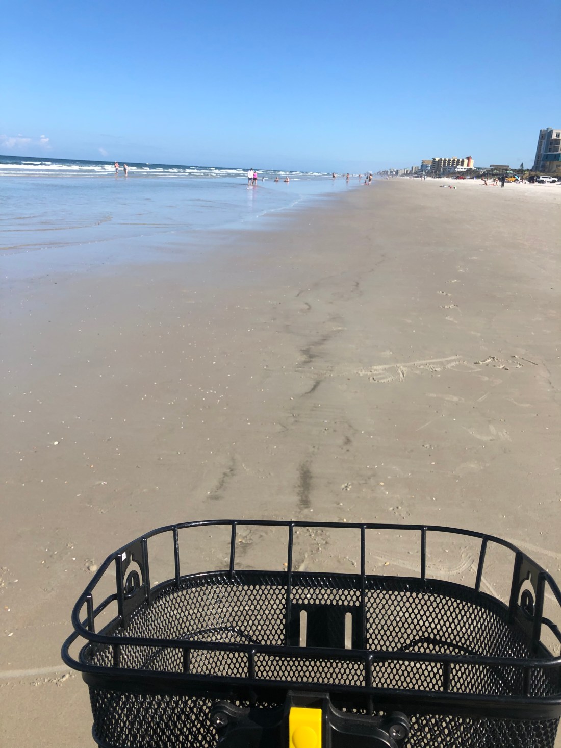 01E3286E-A62C-42EA-9E58-9219E37B1179