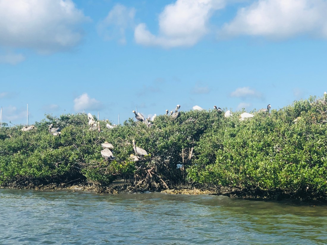 1F88914D-2332-4249-B7F1-F48C76273390