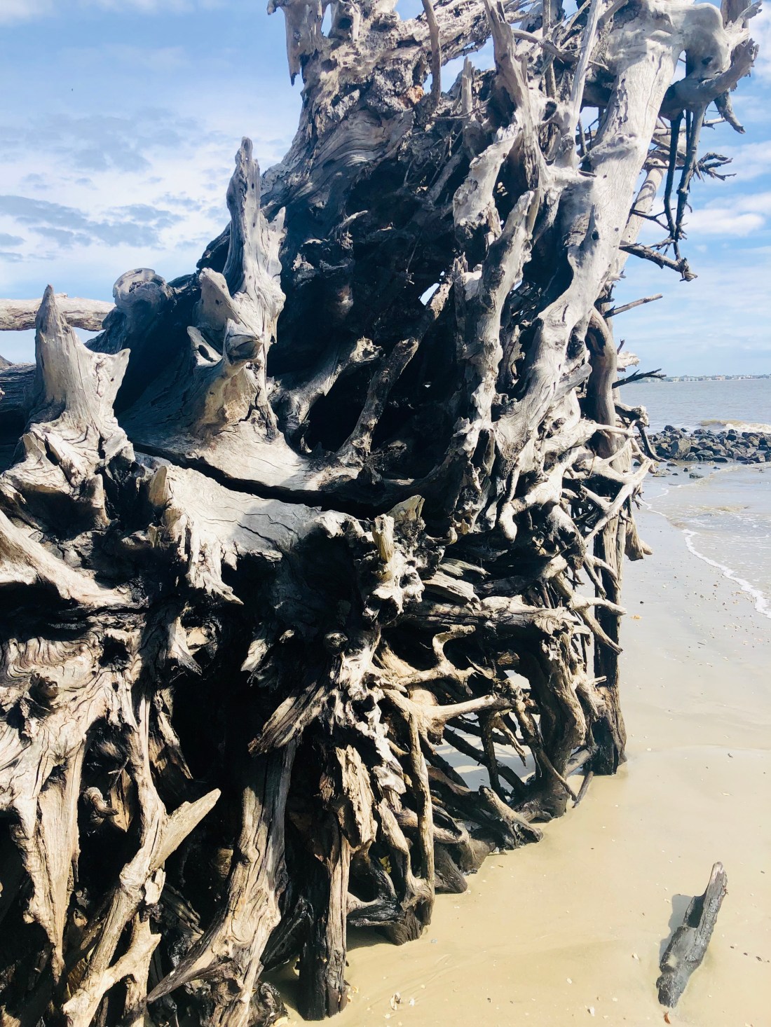 1FAD91B5-654F-497C-B86C-1D69D1E4D00E