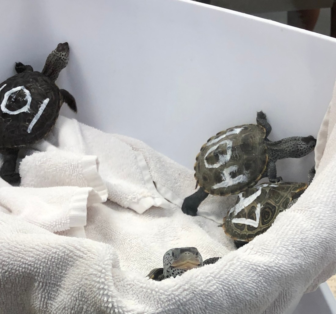 380F4FDF-A053-41BF-8CA9-9EEC221D71B6