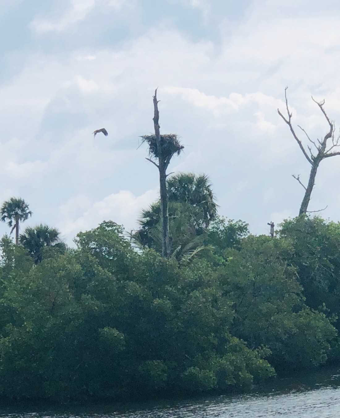 64034439-5ED2-4357-82AE-04CC6ECFE70B