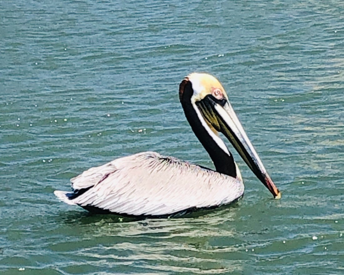 9BBC10EC-9050-4CAD-82EB-F4C626903723