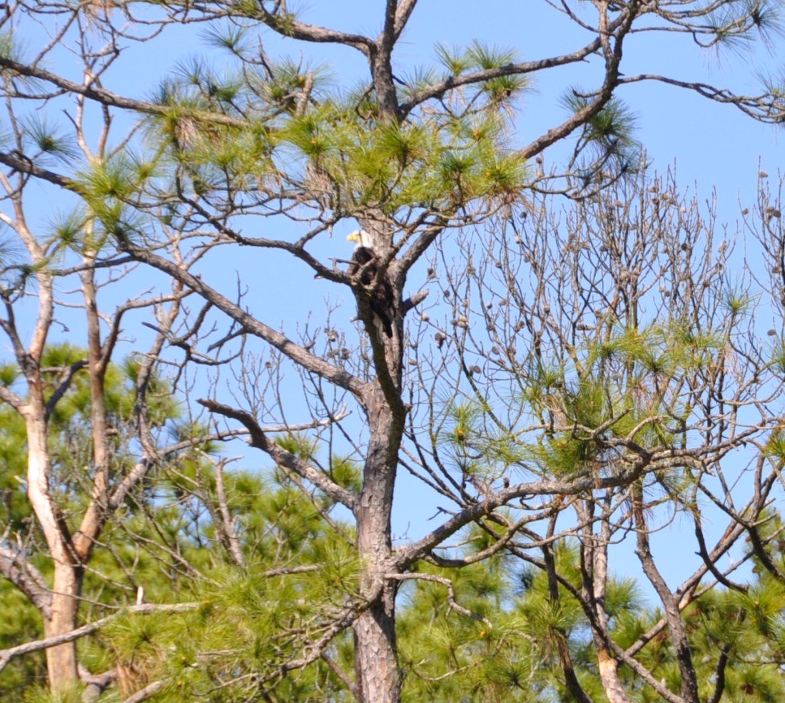 A575D617-C89F-4257-A5EE-8E0EFA6EB890