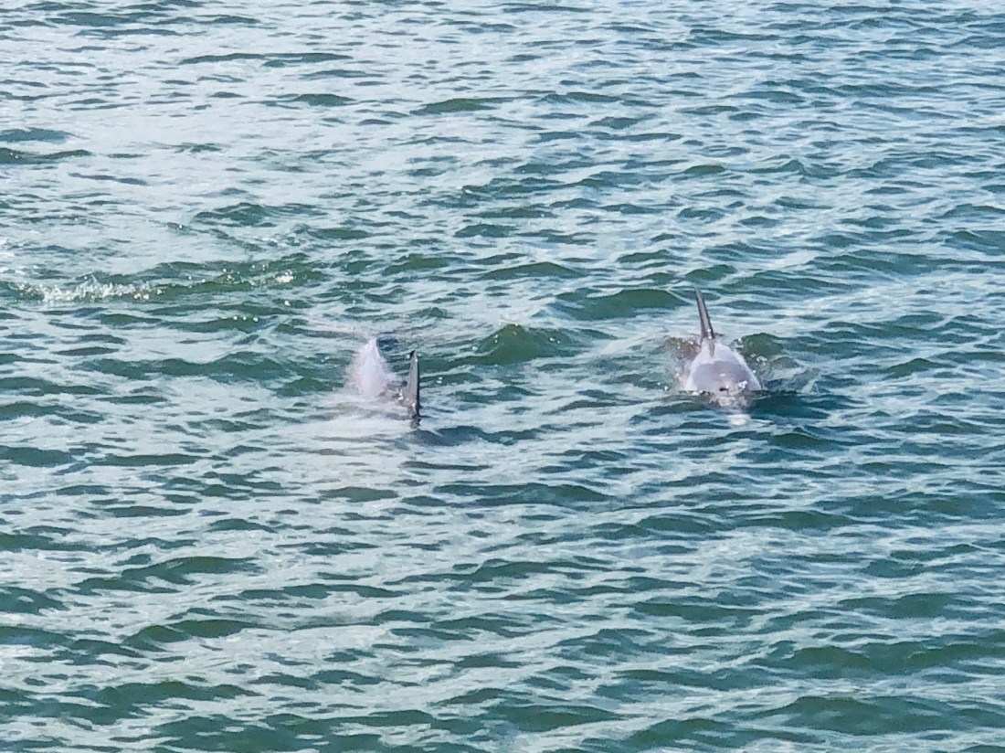 E5EC447E-93E8-403F-8C10-B8C7B1C3D7C4