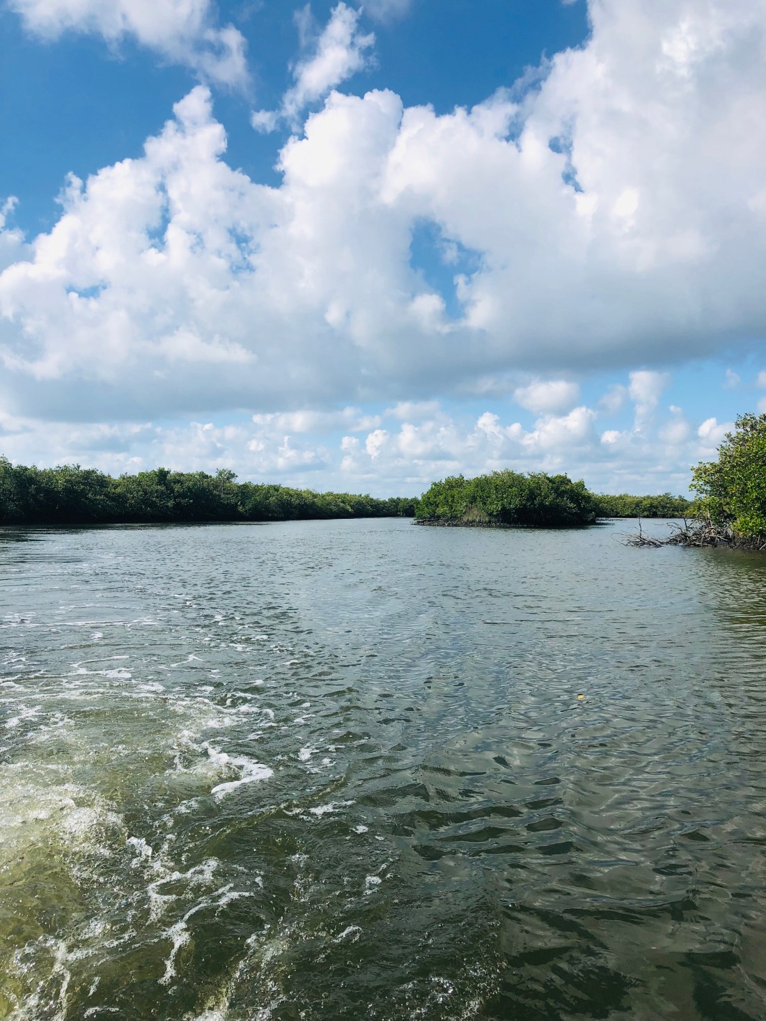 F9D1F2FA-61C8-4CF3-9C94-184AB2F72CC2