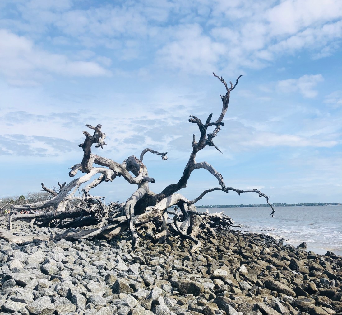 FC5DCB30-0000-4D69-BF11-DD5FF3366787