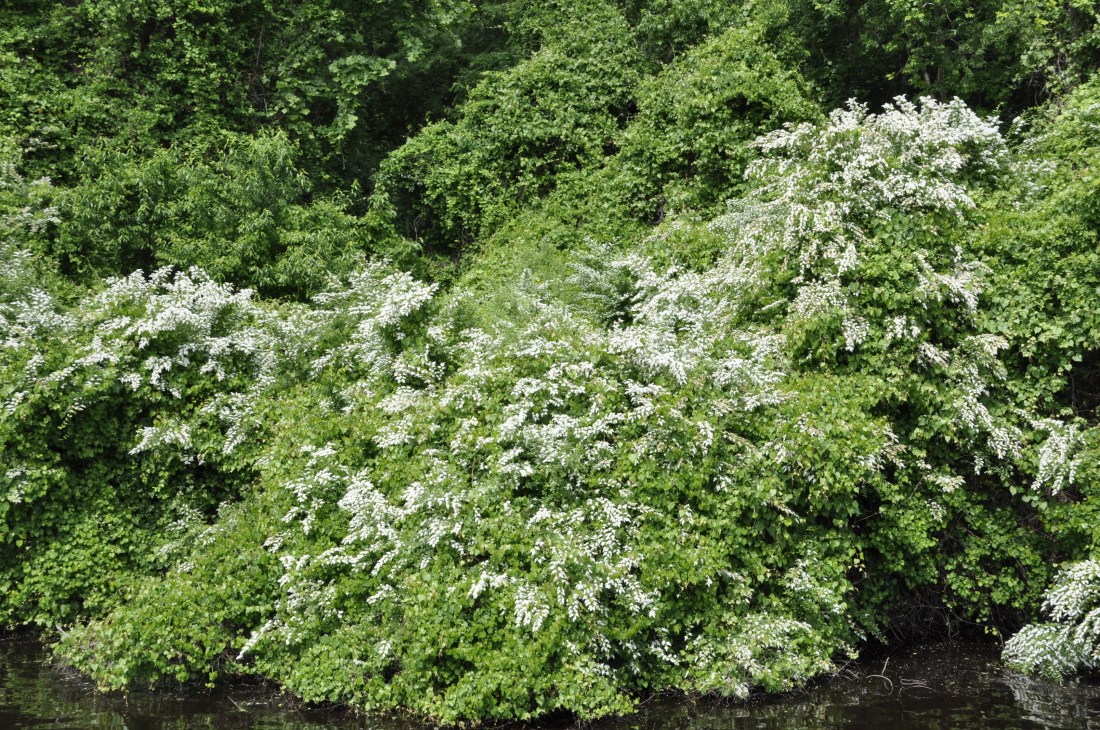 17D3262E-746E-4252-A68F-0AF582C2C26D