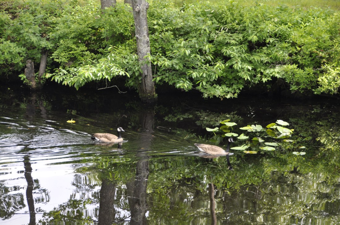 17D7E8C5-95E0-471A-9E12-4B6BA4835279