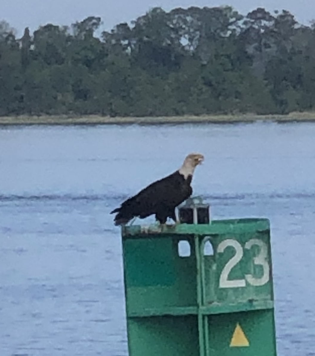 1BBA9A4C-63D5-4CFF-8E15-9ED525F998F1