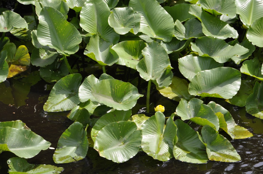 3271B909-20E3-49F7-9EAE-5D52A3221EA5