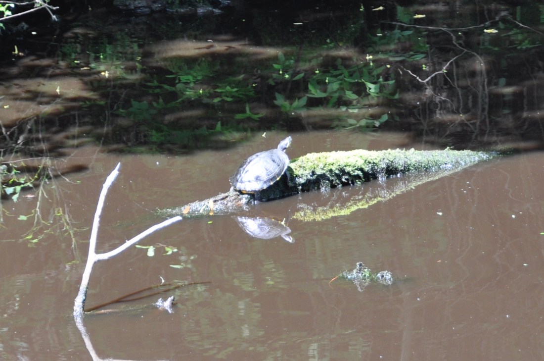 3EB0B45E-FE26-414A-BF9F-DB6F99869961