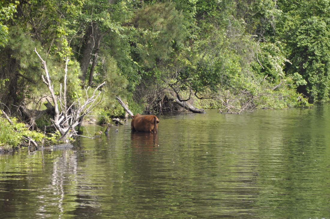 4DD9F640-5950-4E86-B0FE-8F460380EEF6