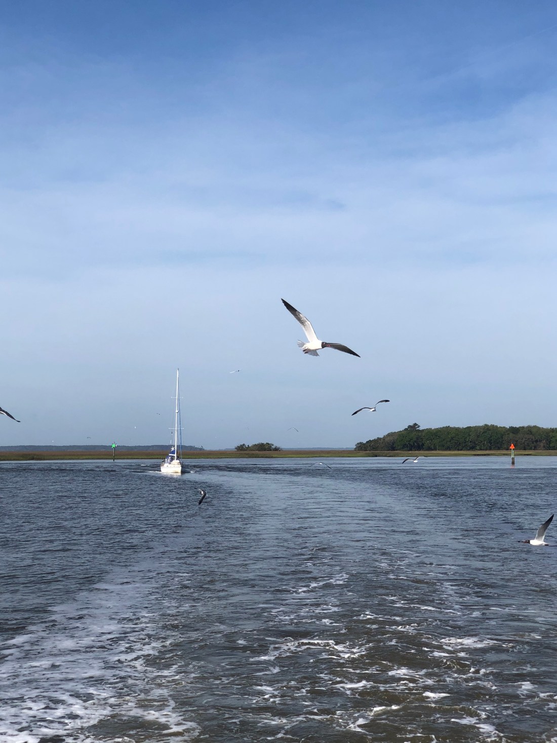 66E2C45D-038E-44C1-87F2-F42D2EE7ED2A