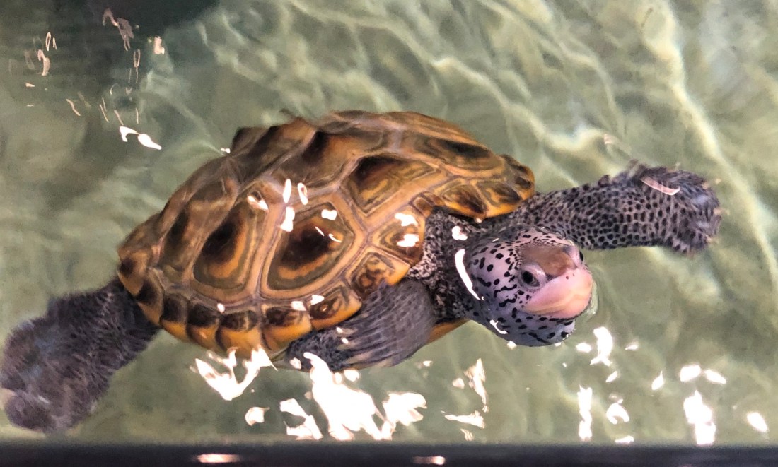 82968085-A27F-43E4-A4D6-863987EAD36E