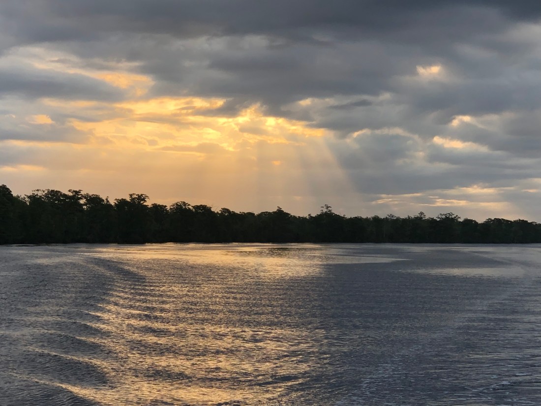 C52217F7-C2F1-4A10-A0CF-FEDD29670DD8