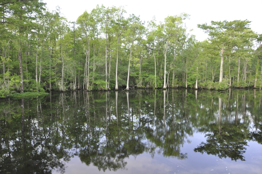 C52E76DB-2435-4A4A-AEB7-D61DD021A3F5