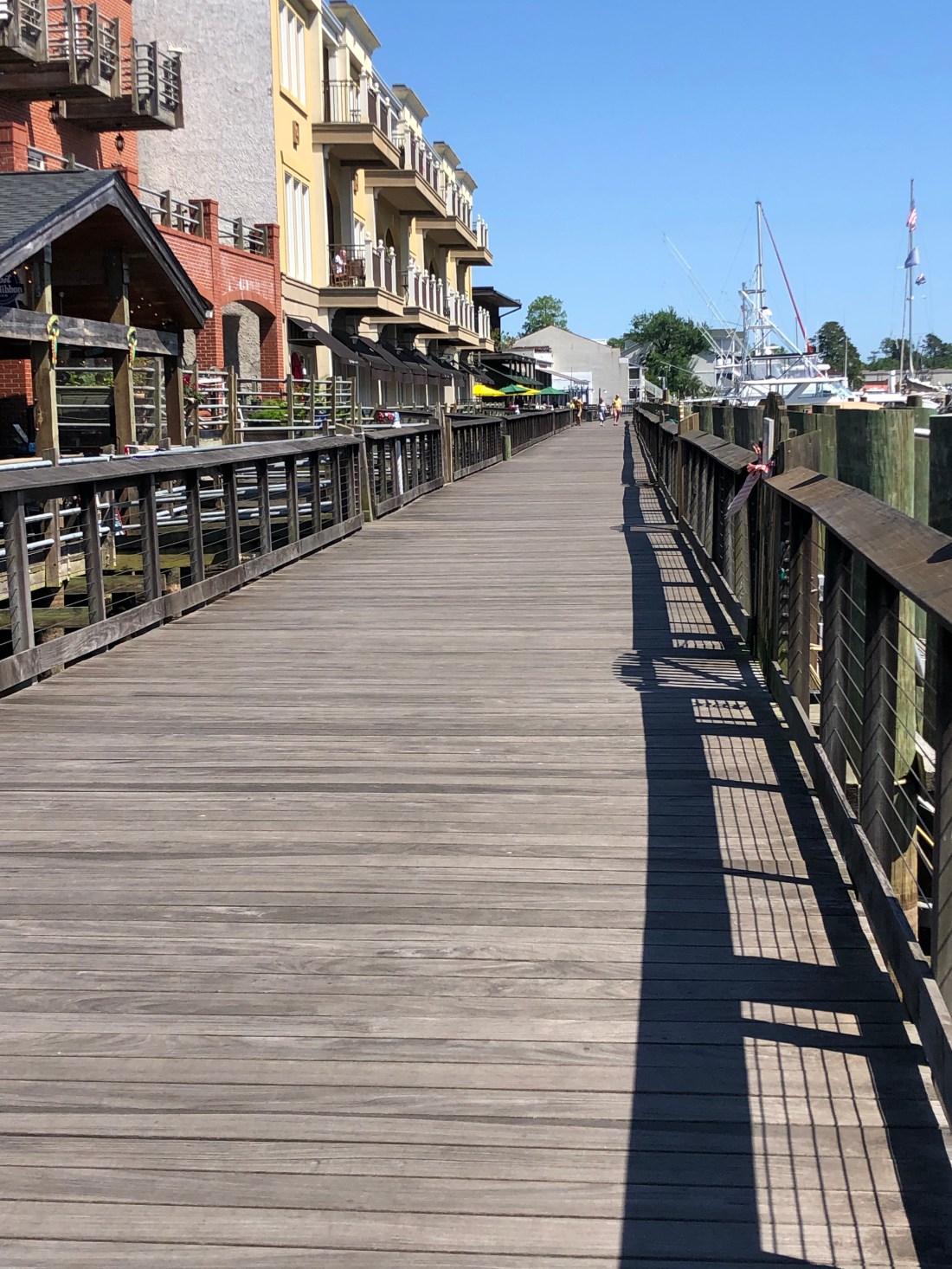 C73F0EC3-8A45-4B04-9AD8-F4F1C255921D