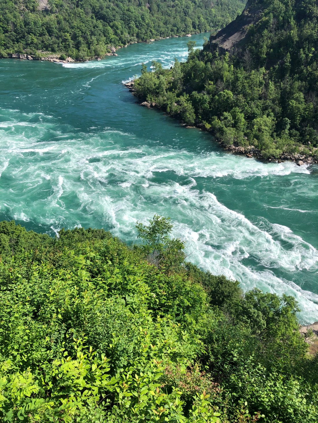 3561A451-EDE2-4FD5-929A-2C604EF565BC