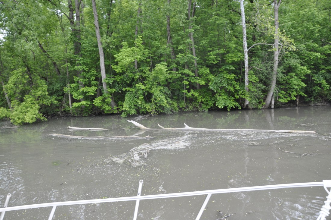 4752ADE3-F7F4-48F9-A848-B877559647A7