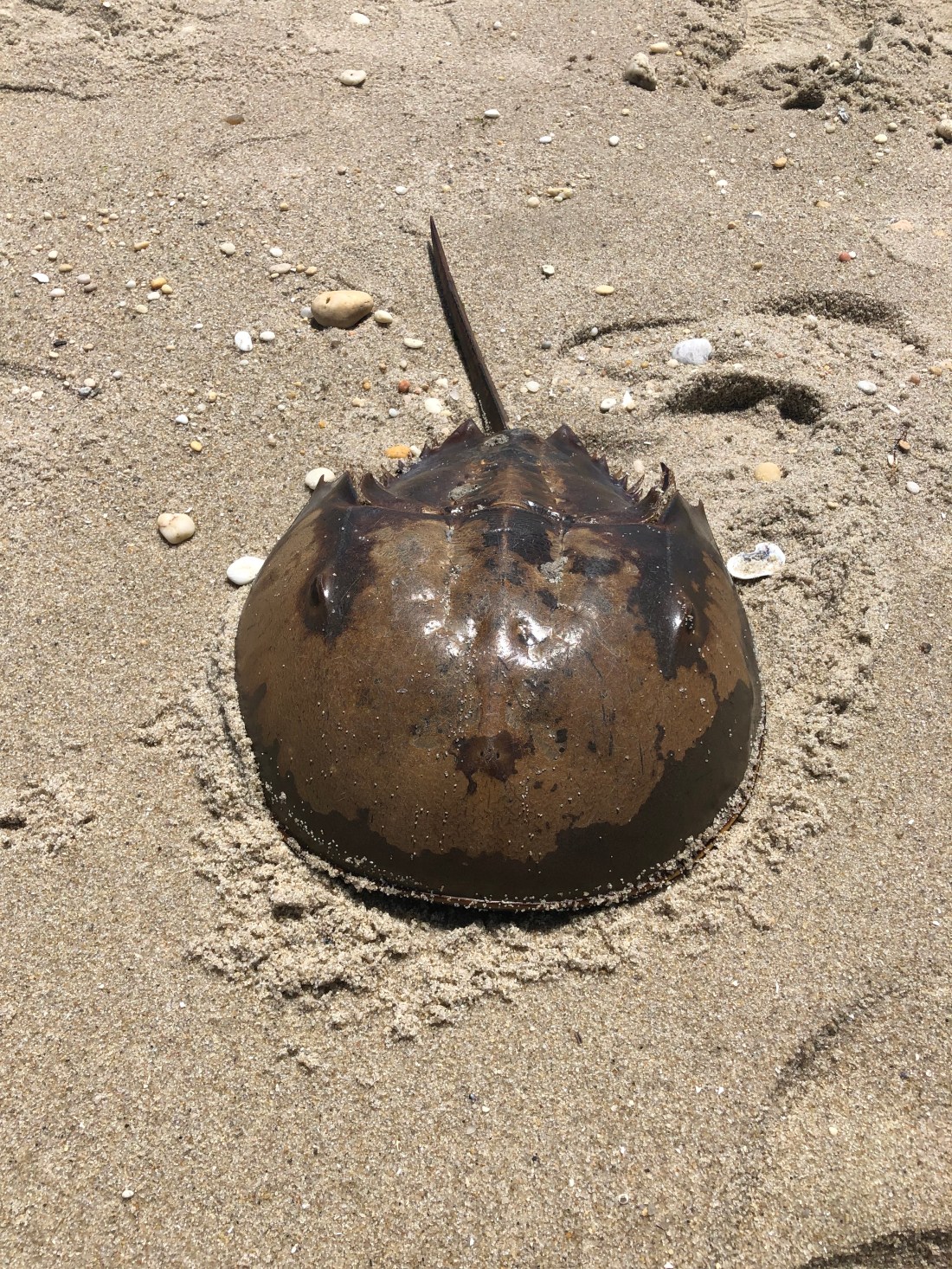 6CE02EE0-8F0A-4D58-909D-030A8C3A4529