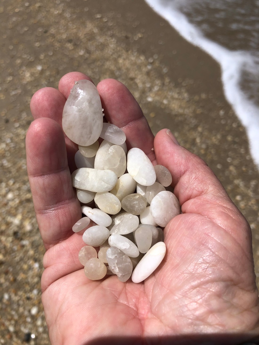 B04BD498-6433-4F41-ADA4-DA1ADB015D50