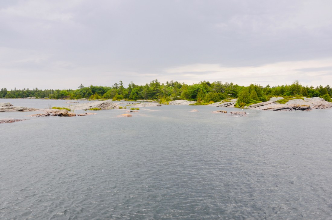 046FA02C-B2CD-468D-897B-D8BA586C434D