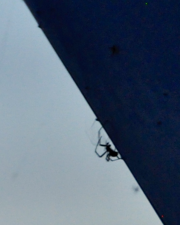 666E2451-87DD-4C9B-A07E-7FCA7F559F20