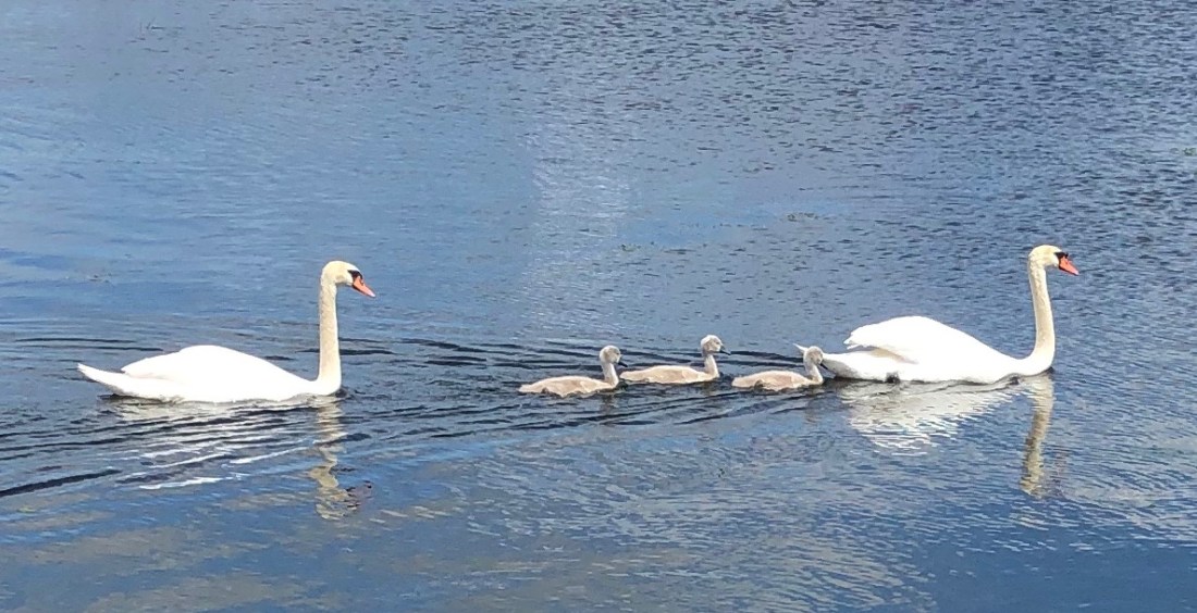 D28576B4-8903-4951-B65F-61F841E7D382